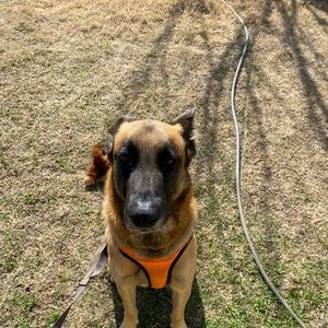 Meet your Posher, Natalia